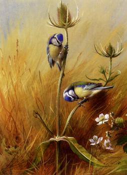 阿奇博爾德 索伯恩 Bluetits On A Teasel